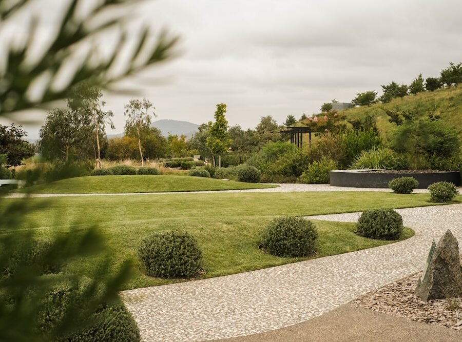 Full garden transformation with lawn and planting, Arabian Ranches