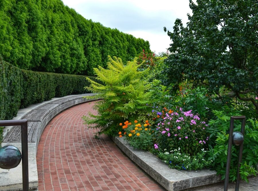 Driveway paving and front landscaping, Al Furjan